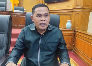 PDIP Kabupaten Serang Minta Zakiyah-Najib Optimalkan Pendapatan Daerah