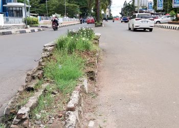 Taman Pembatas Jalan di Pandeglang Tak Terawat dan Membahayakan Pengendara