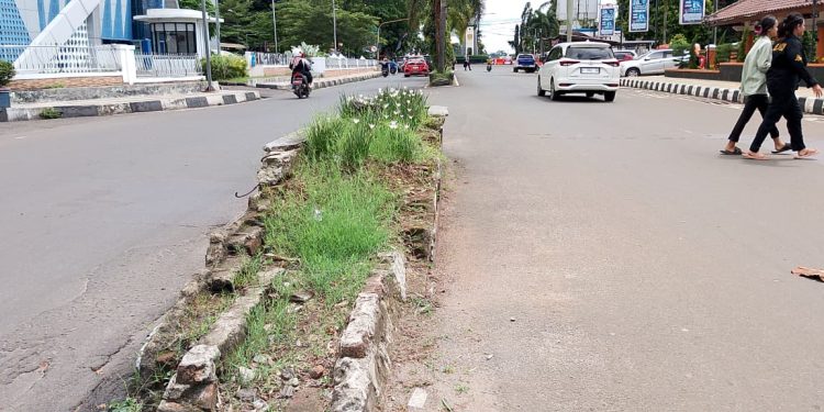 Taman Pembatas Jalan di Pandeglang Tak Terawat dan Membahayakan Pengendara