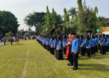 Tenaga Honorer Gagal Diangkat Jadi PPPK Paruh Waktu Bertambah, Kini Capai 160 Orang