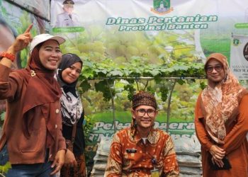 Pekan Daerah KTNA VII, Distan Banten Pamerkan Varietas Anggur Lokal