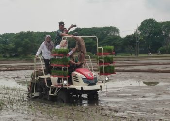 Tingkatkan Produksi Pertanian, Pemkab Serang Minta Bantuan Alsintan ke Pemprov Banten