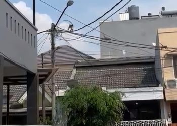 Warga Panik, Kawanan Monyet Liar Masuki Perumahan Nusaloka BSD Tangsel