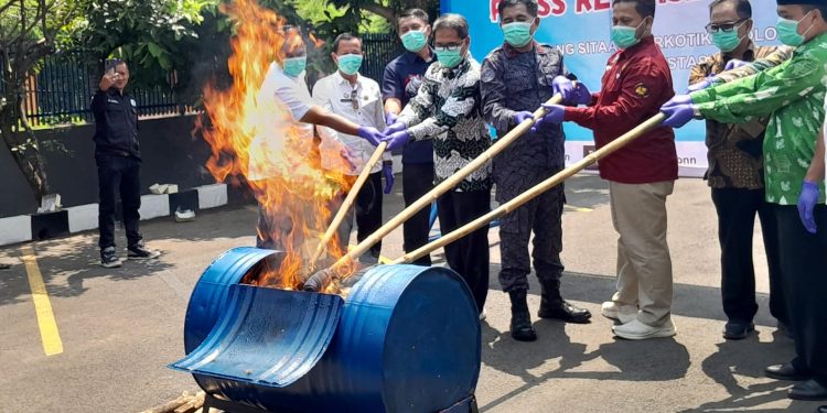 BNN Provinsi Banten Musnahkan Ganja Hampir 2 Kilogram Hasil Ungkapan di Tangsel