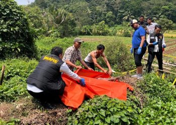Diduga Kesetrum Kawat Listrik, Pria di Pandeglang Tewas Saat Berburu Kodok