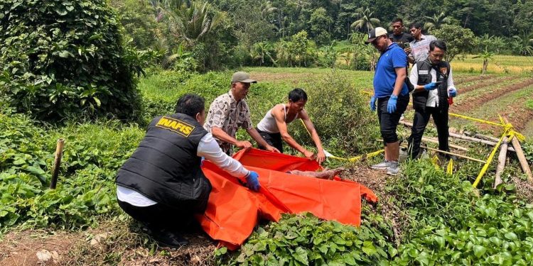 Diduga Kesetrum Kawat Listrik, Pria di Pandeglang Tewas Saat Berburu Kodok