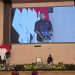 KUHP Baru Larang Penghinaan Presiden, Wamenkum HAM: untuk Lindungi Martabat Kepala Negara