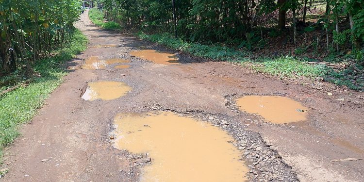 Warga Keluhkan Jalan Rusak Bertahun-tahun, Ini Kata Pemkab Pandeglang