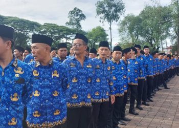 Forum Honorer Kota Serang Minta Pemerintah Angkat PPPK Paruh Waktu