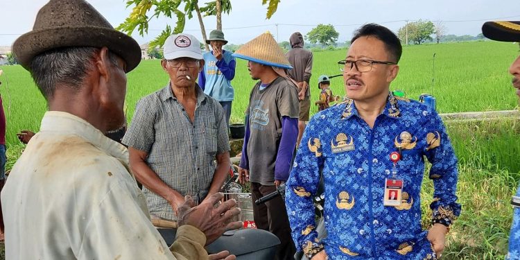 Sambut Penurunan Harga Pupuk Bersubsidi, Kadistan Banten Optimis Daya Saing Petani Meningkat