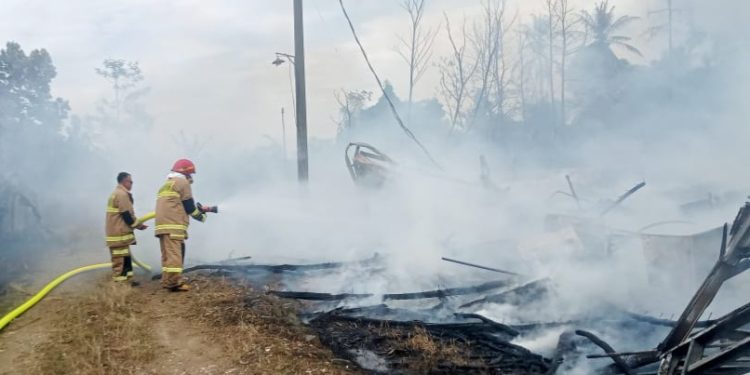 Kandang Ayam di Pajagan Terbakar, Kerugian Ditaksir Rp 2 Miliar