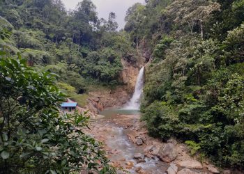 Daerah tambang di kawasan Taman Nasional Gunung Halimun Salak.