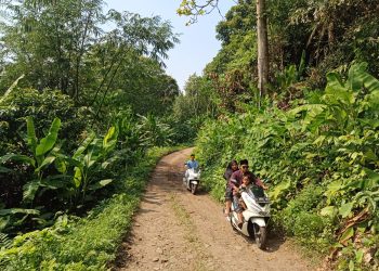 Pembangunan Jalan di Desa Cikedung Diproyeksikan Dilakukan Bertahap