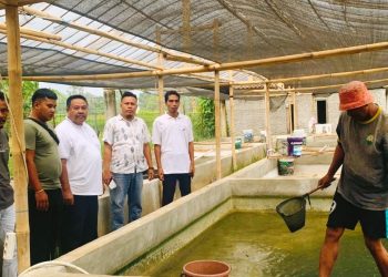 Tingkatkan Kemandirian Ekonomi, Anggota DPRD Pandeglang Senang Berbagi Ilmu Budidaya Lele