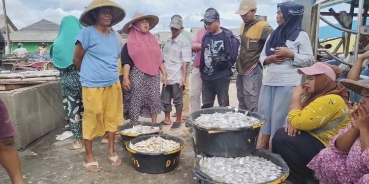 Cuaca Ekstrem di Pandeglang, Harga Ikan Laut Naik