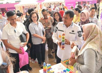 Sinar Mas Land