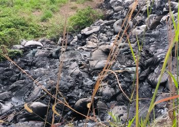 Gudang Pengolahan Solar Diduga Buang Limbah B3 Sembarangan di Ciwandan Kota Cilegon
