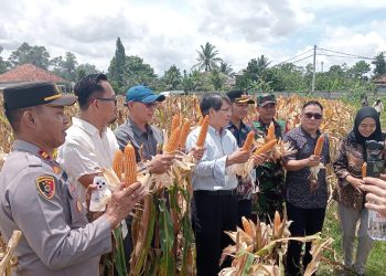 Profesor dari Tiongkok Tertarik dengan Program Ketahanan Pangan Binaan Kapolres Serang