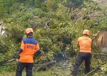 Tertimpa Pohon Tumbang, Tiga Rumah di Asrama Polisi Rangkasbitung Rusak Berat