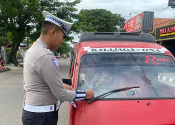 Operasi Zebra Maung
