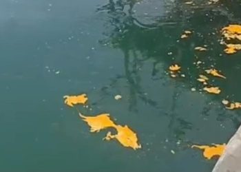 Perairan Tanjungburung Tercemar Limbah Berwarna Kuning, Nelayan Mengeluh