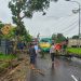 Angin Kencang, Pohon Tumbang Tutup Akses Jalan Mengger-Mandalawangi
