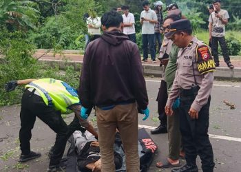 Pohon Tumbang di Jalan Kembar Cilegon Tewaskan Pengendara Motor