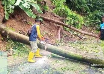Cuaca Ekstrem Mengintai, UPTD PJJ Pandeglang Siaga Tangani Longsor-Pohon Tumbang