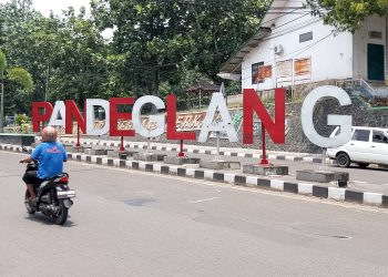 Retribusi Tenaga Kerja Asing di Pandeglang Masih Kecil, Ini Kata Akademisi