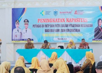 Penguatan Sistem Rujukan, Kasus AKI dan AKB di Pandeglang Turun