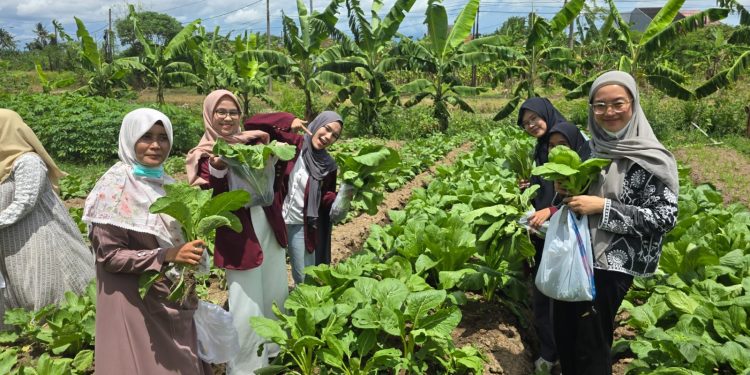 Dosen Untirta Berdayakan Masyarakat melalui Urban Farming Terpadu