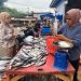 Jelang Malam Tahun Baru 2026, Permintaan Ikan Laut di Lebak Naik Tajam