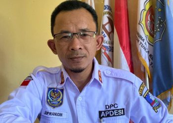 pemerintah desa