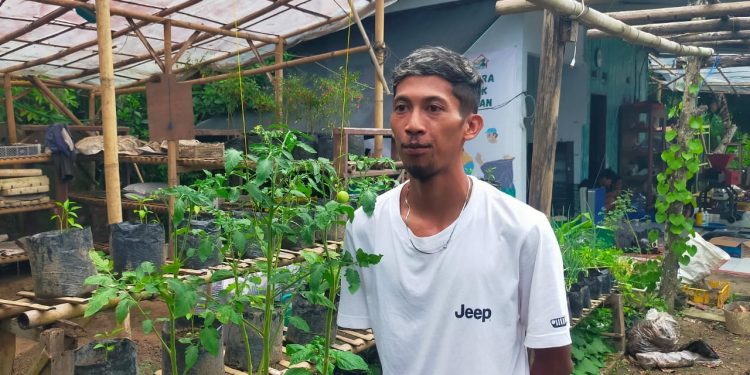 Bertani Itu Keren! Pemuda Lebak Buktikan Hasilnya Tak Kalah dari Kerja Kantoran