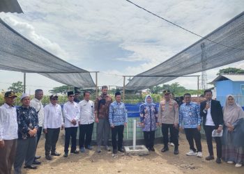Teluk Terate