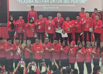 PDIP