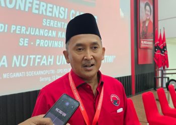 PDIP