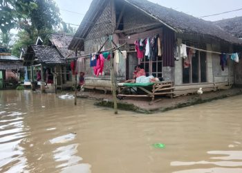 Pandeglang