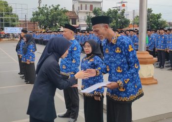 PPPK Paruh Waktu
