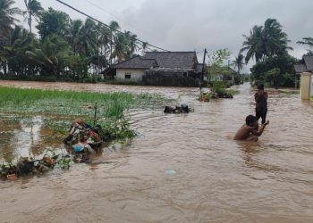 220 sawah gagal panen