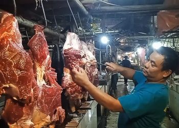 Harga daging Sapi naik