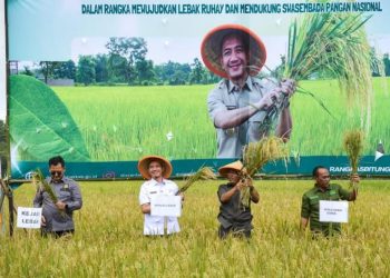 Panen Raya di Rangkasbitung