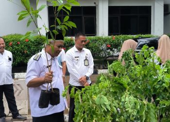 Dukung Program Sejuta Pohon, Kecamatan Purwakarta Serahkan 300 Bibit ke Pemkot Cilegon