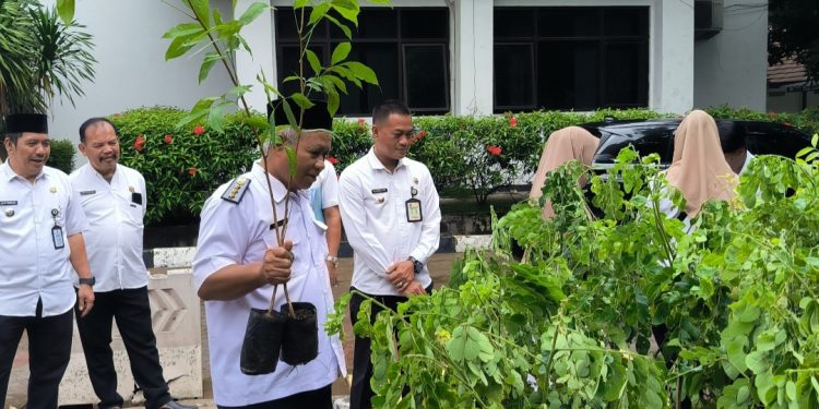 Dukung Program Sejuta Pohon, Kecamatan Purwakarta Serahkan 300 Bibit ke Pemkot Cilegon