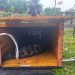 Mitigasi Konflik Satwa dan Manusia, TNUK Lepasliarkan Buaya Seberat 200 Kilogram
