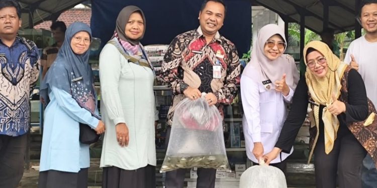 Bupati Pandeglang Tinjau Pasar BBI Cipeucang, Dorong Penguatan Sektor Perikanan