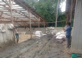 Bau Limbah Ayam Resahkan Warga Maja, DLH Lebak Siap Lakukan Pengecekan