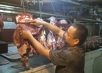 daging sapi