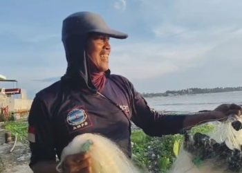 Sampah Kayu Gelondongan Penuhi Pantai Teluk, Aktivitas Nelayan Terganggu
