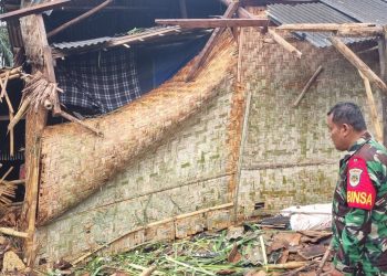 Pohon Sawit Roboh Timpa Rumah Ustadz di Pandeglang